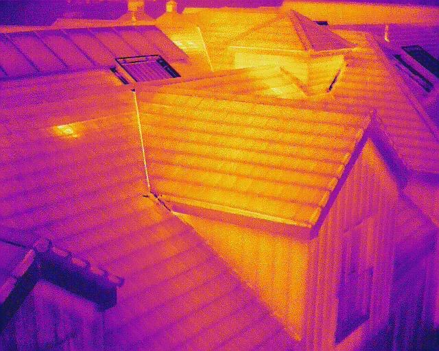 Thermal Imaging Roof Survey Image Grays